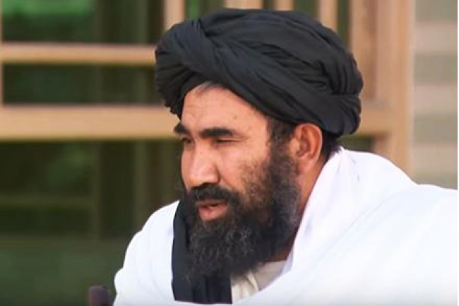 Taliban Yet to Decide on Joining Political System: Zaeef
